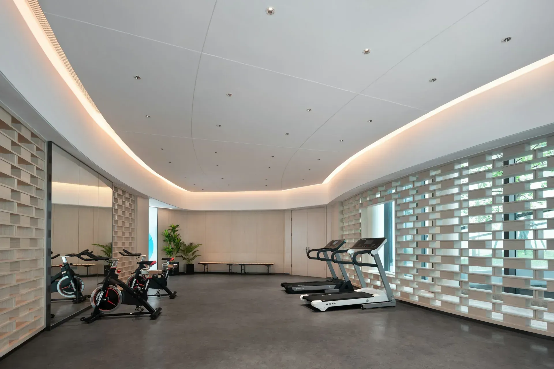 A modern gym with treadmills and exercise bikes under a curved lit ceiling.