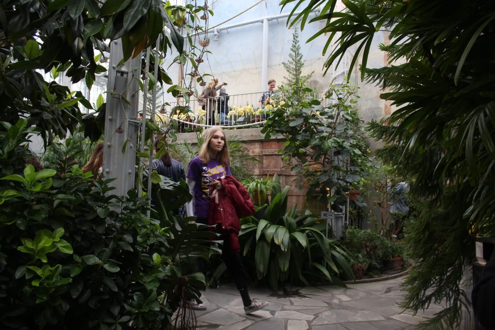 Visitors walk among tall plants inside a glasshouse