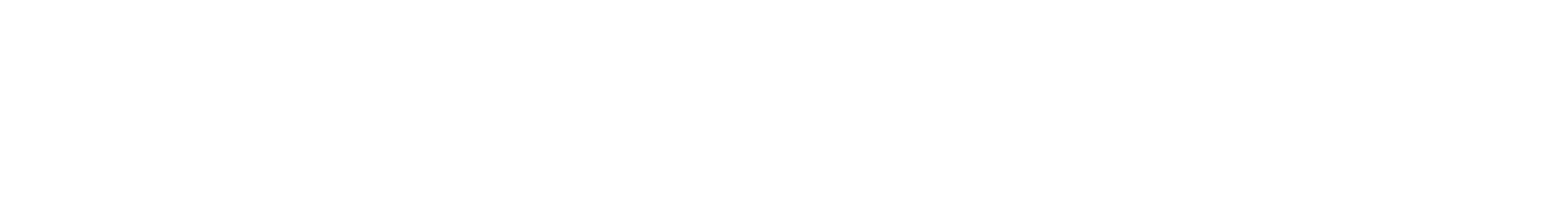 Hoyer Group